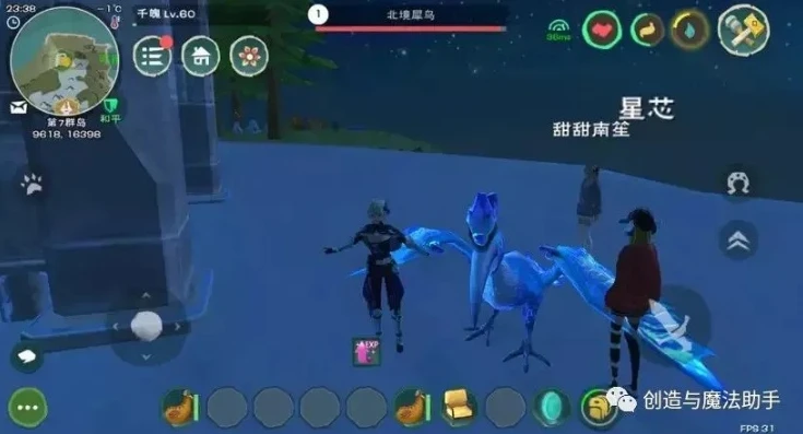 创造与魔法北境犀鸟掉落物_创造与魔法北境犀鸟，材料全解析与深度探索