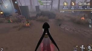 第五人格放血举报惩罚_抵制第五人格中的放血行为，举报机制与应有的惩罚