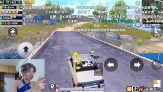 和平精英鲨鱼的id是什么名字_探寻和平精英鲨鱼的ID，传奇玩家背后的独特标识