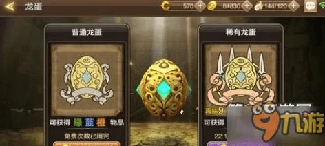 龙之谷端游账号查询官网_龙之谷端游账号查询全攻略，深入了解查询流程与相关要点