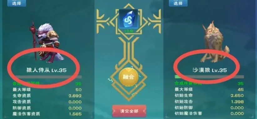 创造与魔法狼人巫祝升阶资质是什么_创造与魔法，狼人巫祝升阶资质全解析