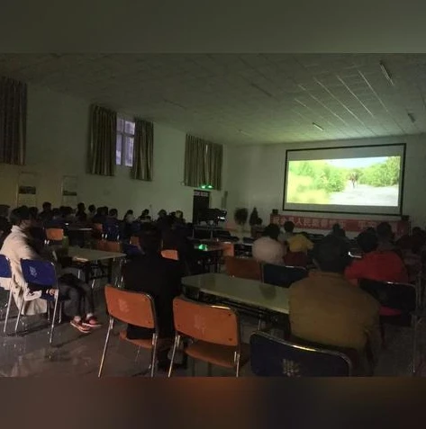 哪里可以看乱世王者直播间_探寻乱世王者直播，多平台畅享精彩游戏直播盛宴