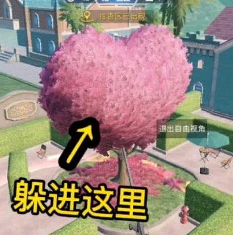 和平精英的夏日模式在哪个地方可以开启_和平精英夏日模式全解析，畅爽一夏的新玩法