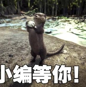 真的是明日方舟哦英文_〈真的是明日方舟哦〉，游戏魅力全解析
