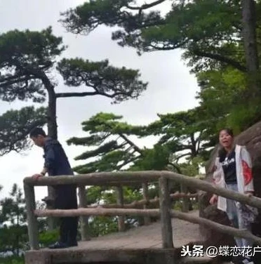 梦幻西游手游国庆新区叫什么_梦幻西游手游国庆新区，寻找同行者，共赴梦幻之旅