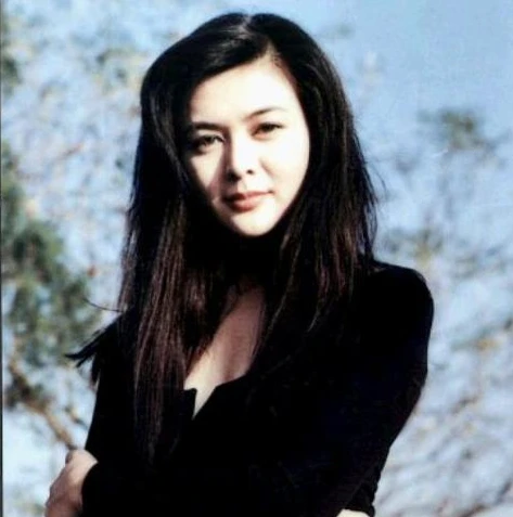 神雕侠侣 电视剧 2006刘亦菲_忆〈神雕侠侣2006刘亦菲版〉，一场绝美江湖梦