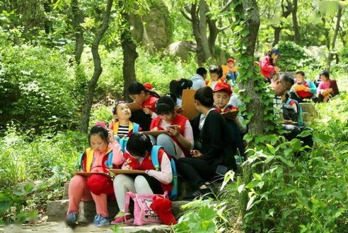 创造与魔法 兰兰兔_探秘创造与魔法中的兰兰兔，萌宠背后的奇妙世界
