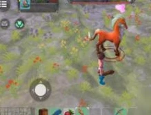 创造与魔法中水中的坐骑_创造与魔法，水中坐骑抓捕全解析，哪个最易上手？