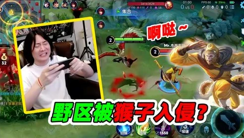 王者荣耀孙悟空教学视频解说张大仙_大仙亲授，孙悟空实战全解析——王者荣耀孙悟空实战教学