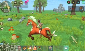 创造与魔法50级能训什么_创造与魔法50级宠物抓捕全解析，强力伙伴等你驯服