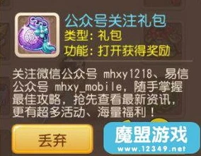 梦幻西游手游礼包序列号怎么获得_梦幻西游手游礼包序列号获取全攻略