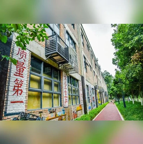 梦幻手游手机扫码登录_梦幻西游手游扫码登录失败？原因与解决方法全解析