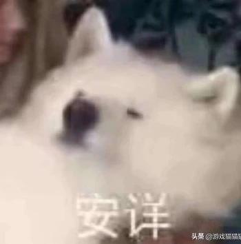奇迹手游折扣号安全吗_奇迹手游折扣号，安全与否的深度剖析