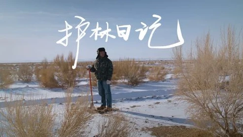 梦幻西游手游桌面版苹果电脑能玩吗_梦幻西游手游桌面版，苹果电脑能否畅玩？