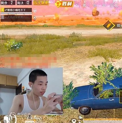 抖音鲨鱼直播和平精英是真的吗_抖音鲨鱼直播和平精英，是真实还是另有玄机？