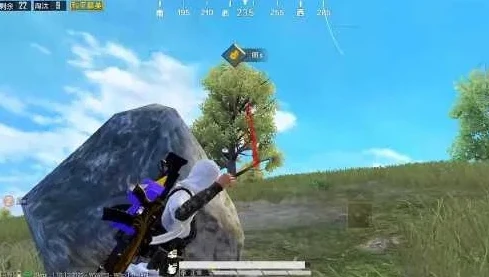 和平精英小五哥哥单人四排怎么玩_和平精英小五哥哥单人四排，独狼的生存之道