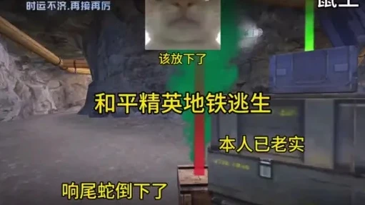地铁逃生和平精英老鼠视频搞笑_地铁逃生中的鼠大侠，和平精英爆笑奇遇