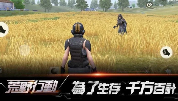 荒野行动国际版下载教程手机版_荒野行动国际版手机版下载教程