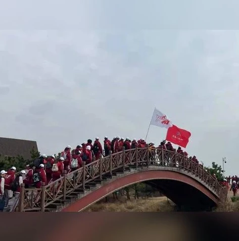 梦幻西游手游2020年1月新区开服_梦幻西游手游2020年1月新区,新征程的开启与梦幻之旅