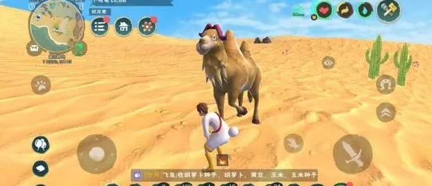 创造与魔法里面的骆驼怎么训_创造与魔法骆驼驯服全攻略，从寻找骆驼到成功驾驭