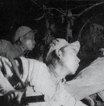 乱世王者战报怎么看_解读乱世王者战报,洞悉战局背后的策略与奥秘