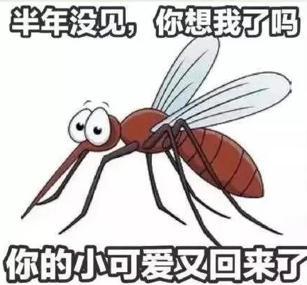 蚊子视屏_走进蚊子o的和平精英世界，西瓜视频中的精彩之旅