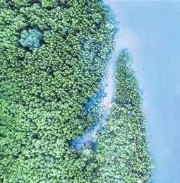 创造与魔法稀有材料位置一览_创造与魔法稀有道具大全，探寻珍稀材料的神秘踪迹