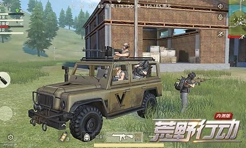 荒野行动可以组队吗_荒野行动，单人游玩与组队模式全解析