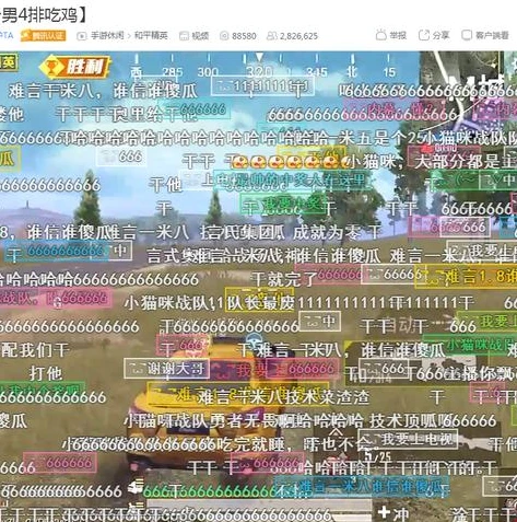 和平精英难言解说长视频_和平精英，难言解说视频全解析——战术、技巧与精彩瞬间