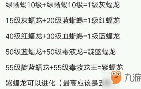 创造与魔法龙血拳皇的六阶资质是什么_探秘创造与魔法龙血拳皇，六阶资质全解析