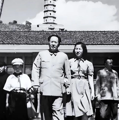 问道渠道服有几个版本_问道手游渠道服全览，各版本特色与差异深度解析