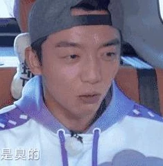 王者荣耀体验服下载全部过程视频_王者荣耀体验服下载全流程,开启抢先体验之旅