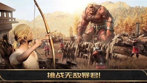 阿瓦隆之王国际服官网_探秘〈阿瓦隆之王〉国际服官网，畅享中世纪魔幻策略之旅