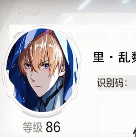 战双帕弥什兑换码bilibili_战双帕弥什，哔哩哔哩兑换码全解析，资源获取的便捷之道