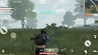秒玩荒野行动的软件叫什么_探寻秒玩荒野行动的软件，畅享极致游戏体验
