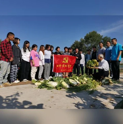 英雄联盟手游直播哪个平台比较好_英雄联盟手游直播，探寻最佳直播平台