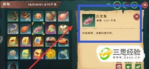 创造与魔法水池龟饲料的做法_创造与魔法，水池龟饲料制作全攻略