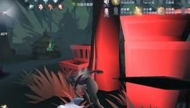 第五人格主播陌兮玩黑天鹅是谁啊_探寻第五人格主播陌兮与黑天鹅的精彩演绎