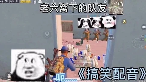 和平精英老6专用表情包_和平精英中的老六文化，从表情包看独特游戏现象