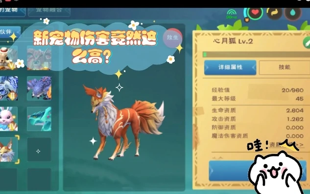 创造与魔狐宠物大全_创造与魔法狐类宠物全解析，饲料制作与获取攻略