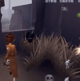 第五人格空军原图_深入解析第五人格中的空军，勇敢与智慧的化身