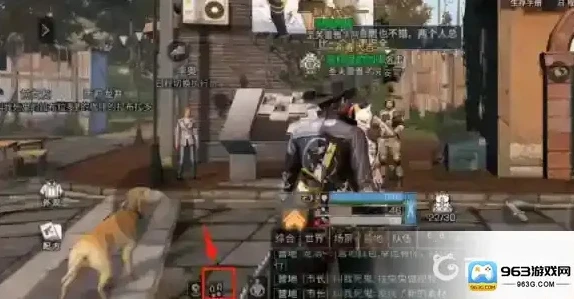 明日之后跟随室友功能怎么设置_明日之后跟随室友功能全解析，轻松结伴同行
