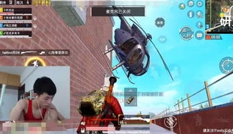 鲨鱼呦和平精英视频_和平精英鲨鱼哟，精彩操作与独特魅力全解析——sdy视频深度解读