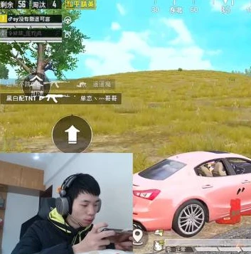 和平精英鲨鱼怎么了_和平精英，鲨鱼掉大分场面背后的启示与应对策略