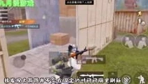和平精英沙漠海岛哪个难打_和平精英，海岛与沙漠——谁才是难啃的硬骨头
