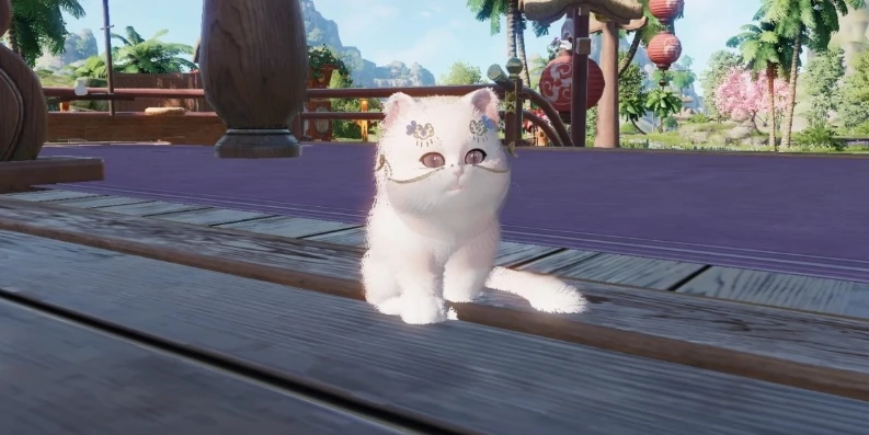 天涯明月刀手游宠物猫_天涯明月刀之萌猫相伴，大猫捏脸数据全解析