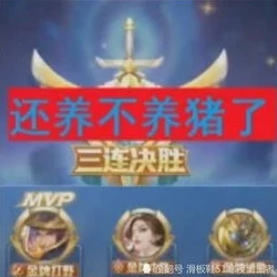 王者荣耀铁根解说暗信_铁根解说，暗信的独特魅力与实战技巧全解析