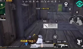 和平精英难言长视频完整版_和平精英难言，战场传奇的深度解读——难言长视频全解析