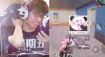 和平精英直播小新在线观看免费高清_和平精英直播小新，畅享免费在线观看高清盛宴