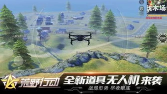 荒野行动国际服下载最新版_荒野行动国际服，畅享热血战斗的全新世界
